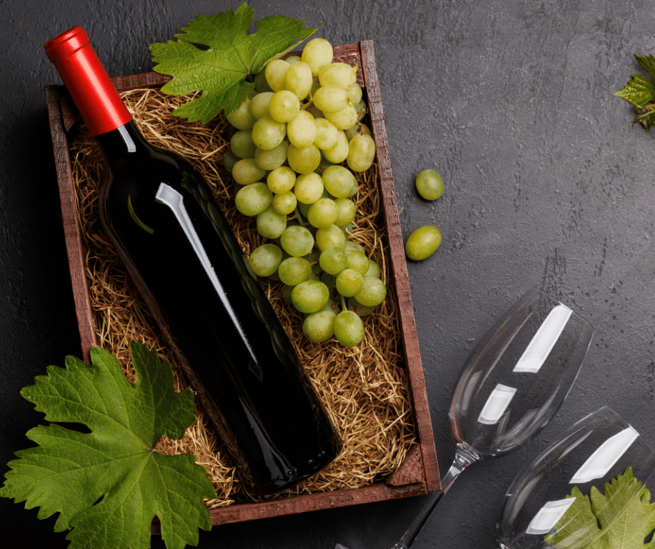 Yarra Valley Winery Tour with Overnight Stay