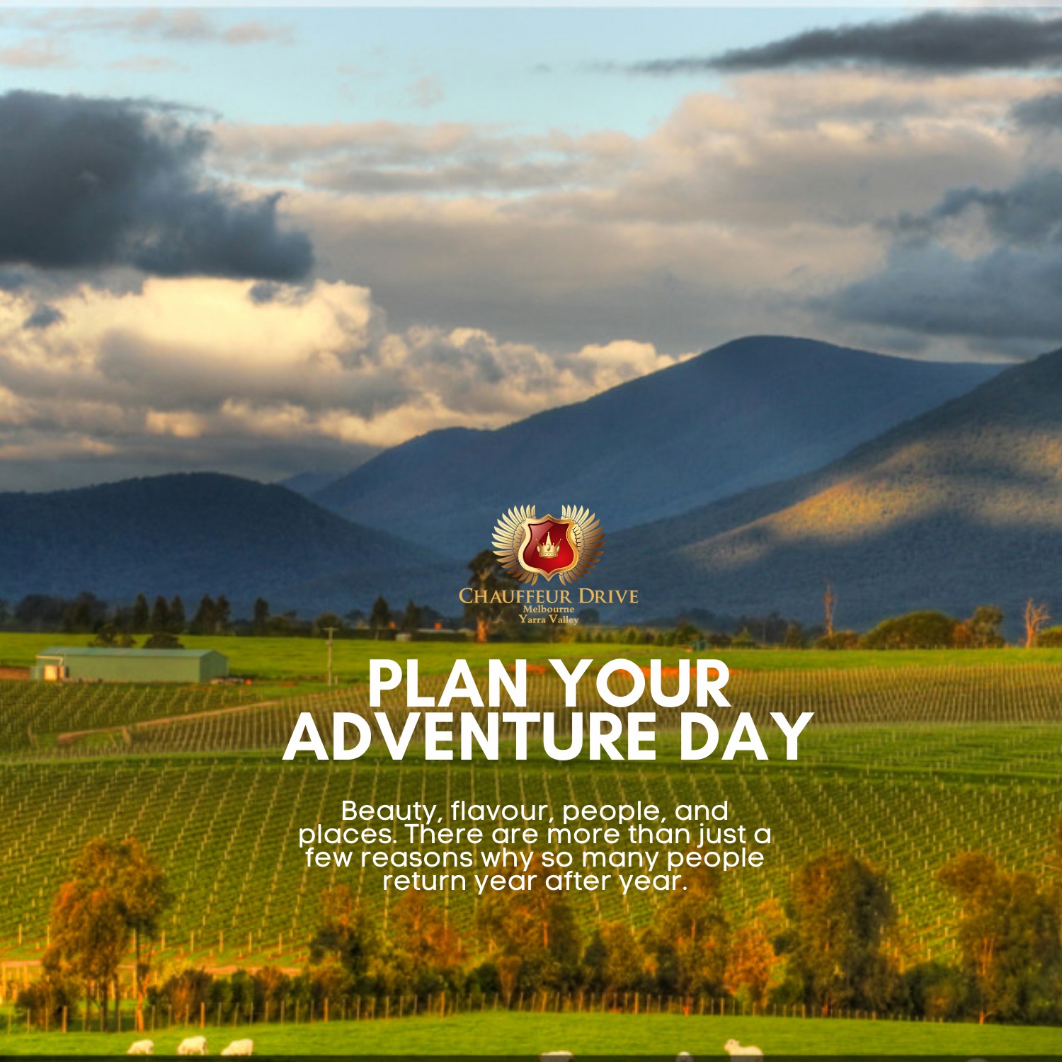 Luxury Private Yarra Valley Wine Tours