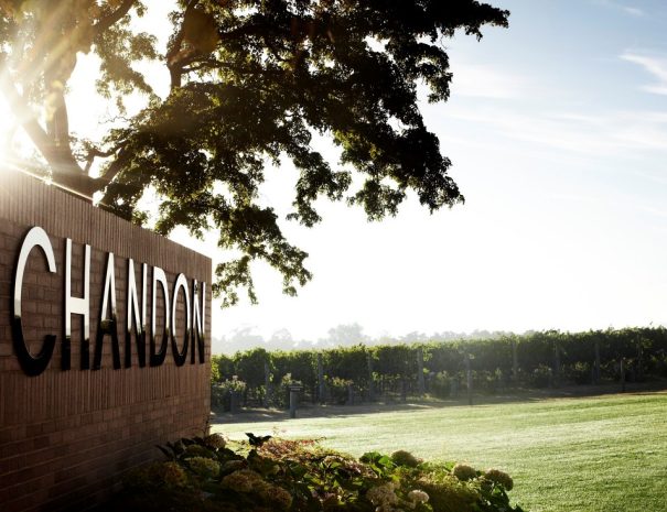4. Yarra Valley Domaine Chandon sign with vines in view (1)